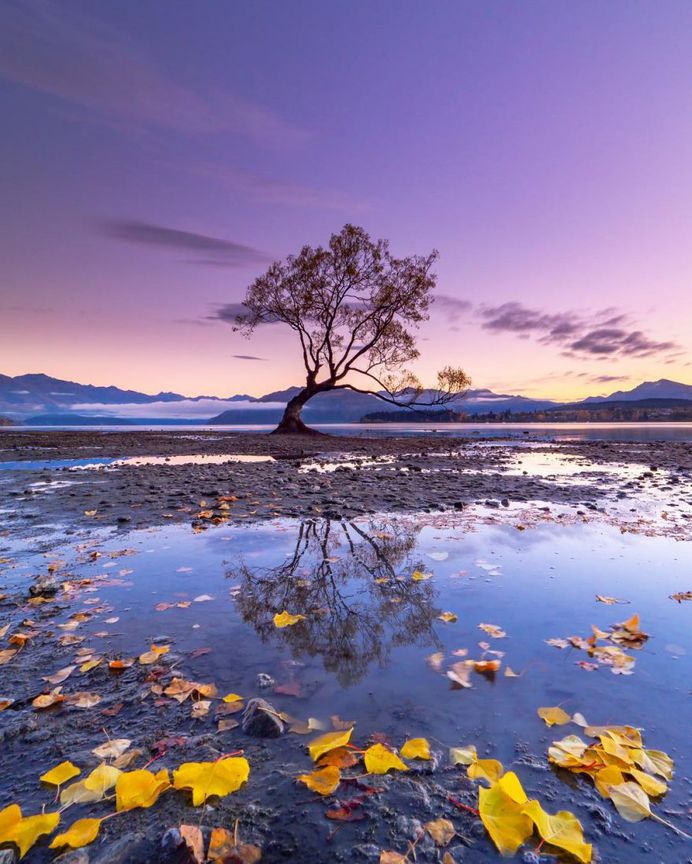 Wanaka
