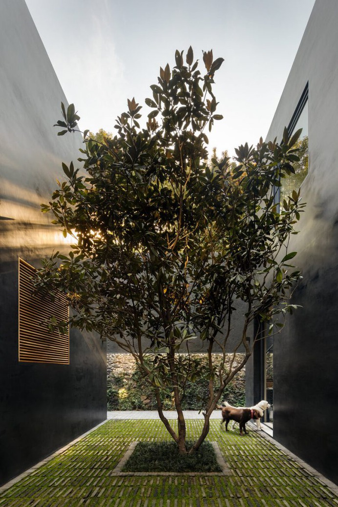 Lluvia House in Mexico City / Pérez Palacios Arquitectos Asociados