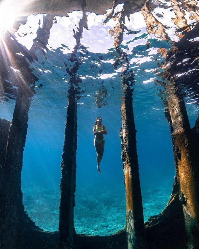 Astonishing Underwater Photography by André Musgrove