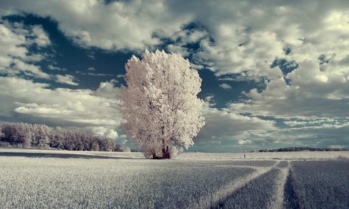 Infrared Photography by Ingo Schobert
