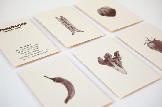 Merindades | Gusto Navarro | Olga Llopis #olga #spain #busines #card #vegetables #food #illustration #llopis #barcelona #merindades