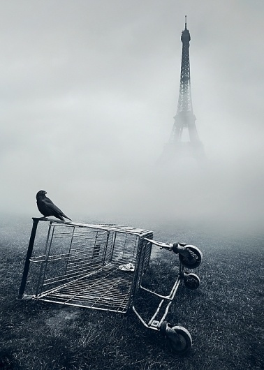 d r e a m on the Behance Network #white #fog #black #photography #and