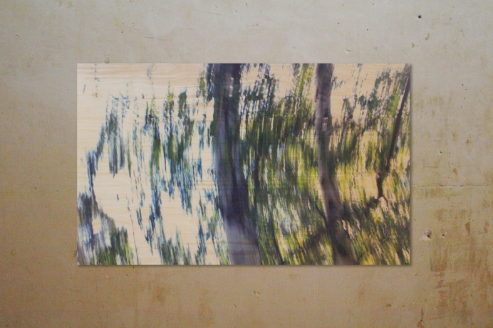 print on wood, birch, birches, art