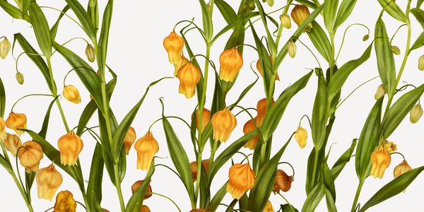 Flowers | The Flower Book #flower