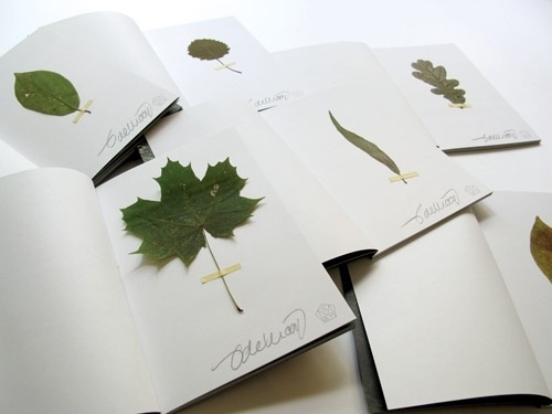 Work | Museum Studio – Art Direction & Graphic Design #design #graphic