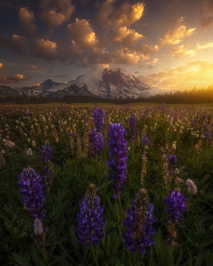 Remarkable Landscape Photography by Ryan Dyar