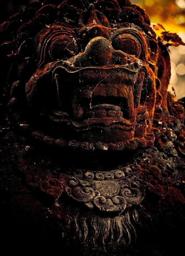 Graphic-ExchanGE - a selection of graphic projects #photo #colour #bali