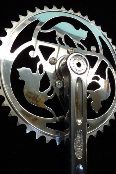 #cat #bike #bicycle #chainwheel #cycling
