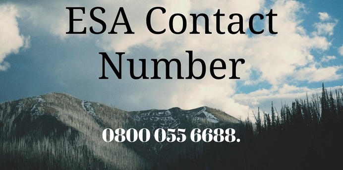 ESA Contact Number