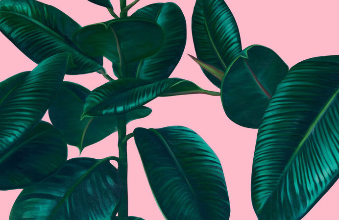 Buamai - Tallinn Music Week 2014 By Aku #pink #pattern #plant #green