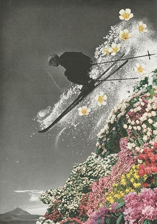 collage, wingspan: sarah eisenlohr #collage #ski
