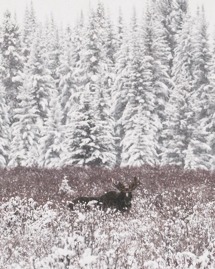 Gorgeous Landscape Photography by Davey Gravy