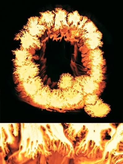 Micro type #letter #fluid #typography