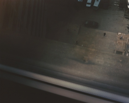 Far too close - Adamsky #ivanow #martina #photography #hoogland