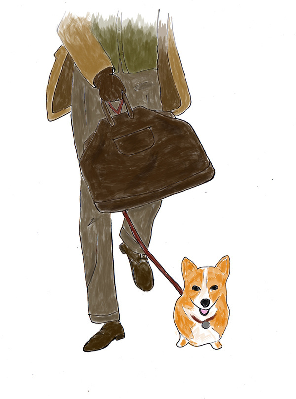 original illustrations for Max (June 2013) #corgi #illustration #men #leather #fashion #bag