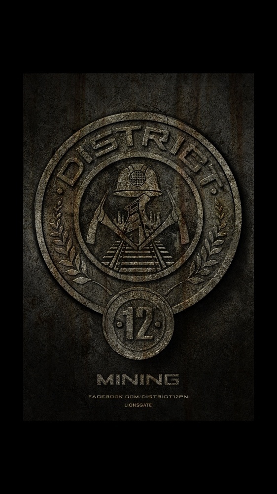 Ignition - The Hunger Games #stones #seal #illustration #huger #games
