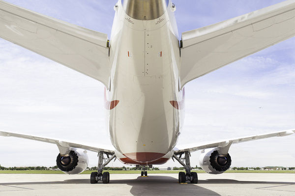 Air India 787 + GEnx engines. #airplane #perspective #realism #photography #plane #fly