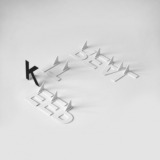 Make Something Cool Every Day 2009 on the Behance Network #shadows #cut #paper