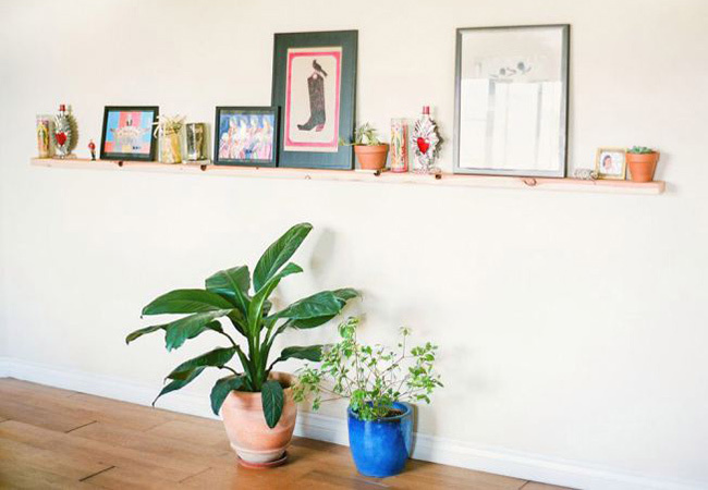 shelf