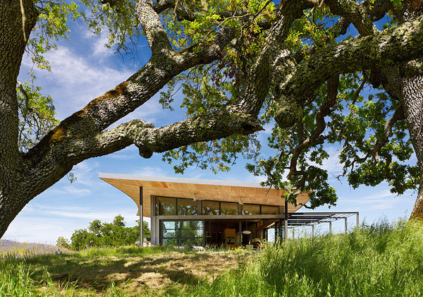 Feldman Architecture #architecture