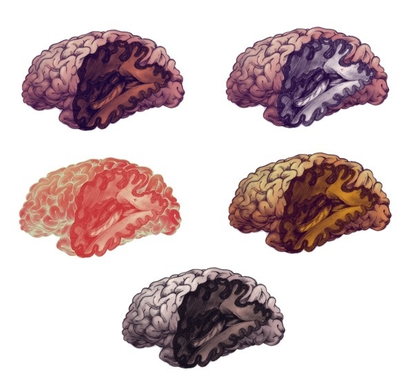 { teaganwhite } design & illustration #design #slice #anatomy #brain #human #smart #illustration #organ #repetition #intelligence