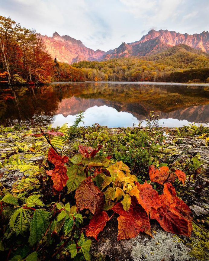 Colorful Autumn in Japan: Landscape Photography by Daisuke Uematsu