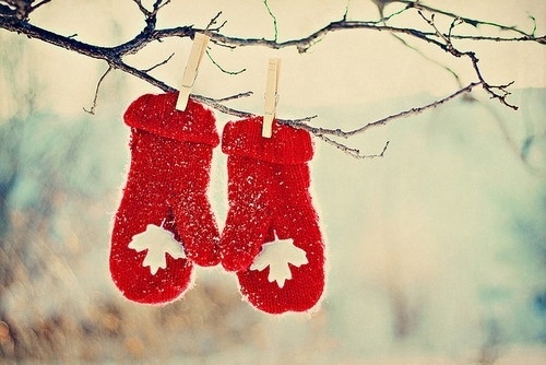 Beauty in Everything - Photography on we heart it / visual bookmark #4181655