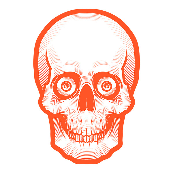 Orange Skull by Musketon #creepy #skeleton #orange #illustration #skull