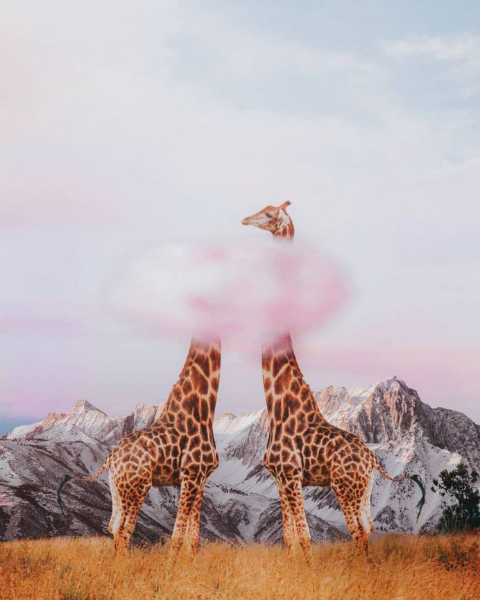 Dreamlike Photo Manipulations by Rizky P. Soedarsono