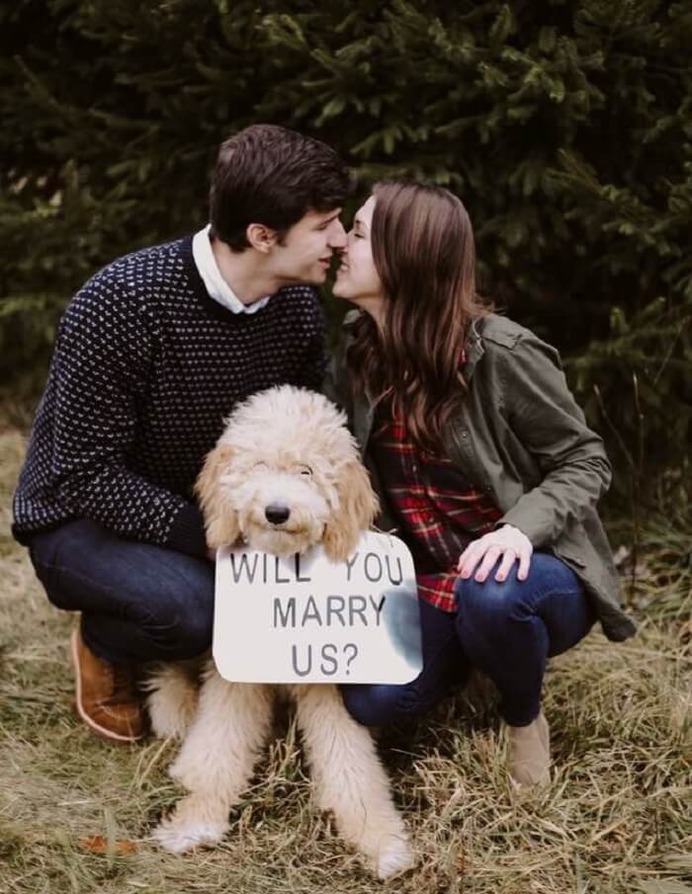 Include your pet in the proposal