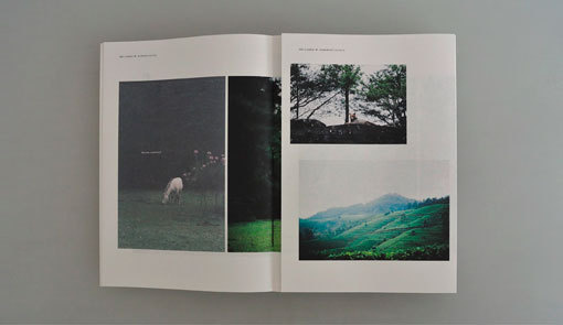 Terroir 03_09 #photo