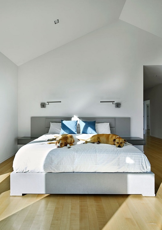 Rosedale Residence / KUBE Architecture