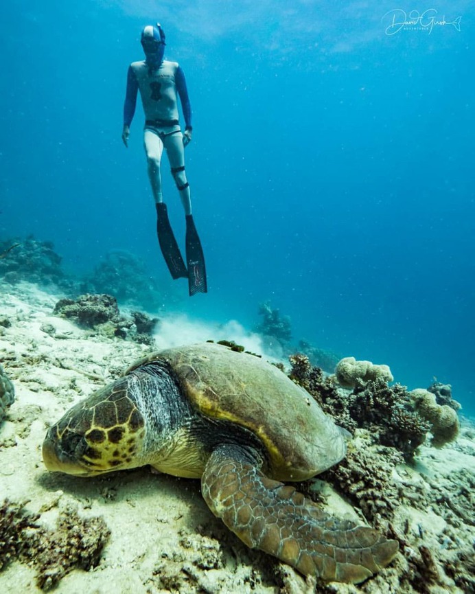 Exceptional Underwater and Ocean Photography by David Girsh
