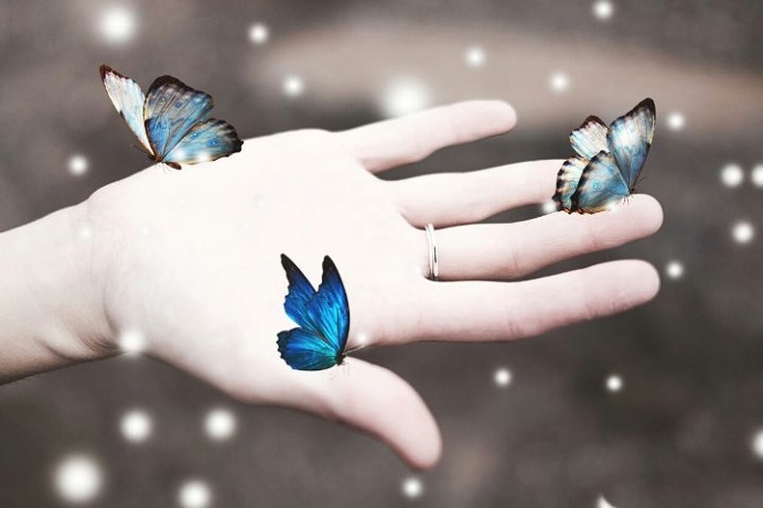 #surreal#butterfly#hand