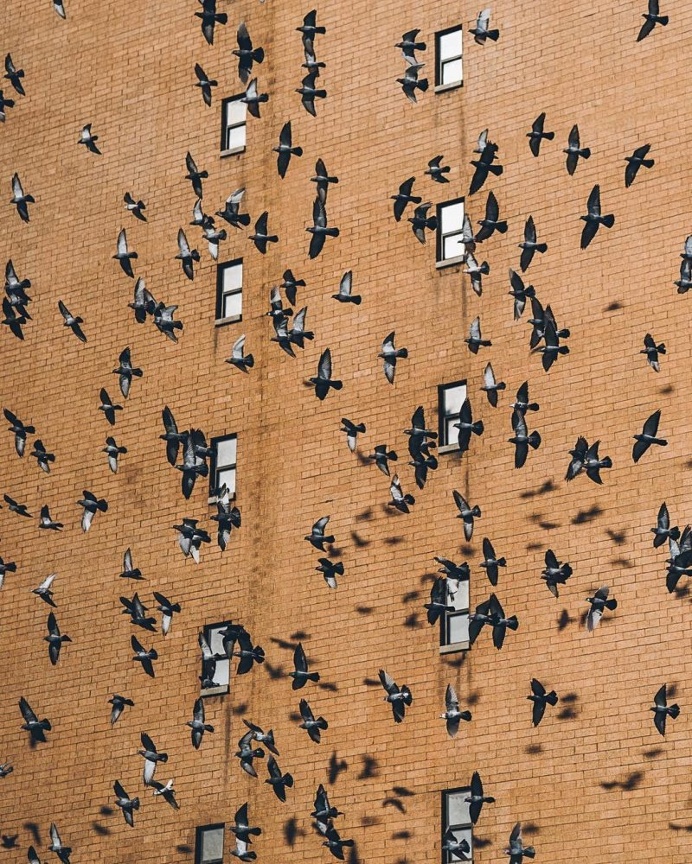 Instagram Star: Dave Krugman