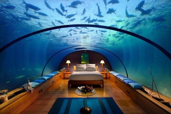 Artistic restaurant – inspiring view from underwater restaurant Ithaa #artistic #view #underwater #restaurant