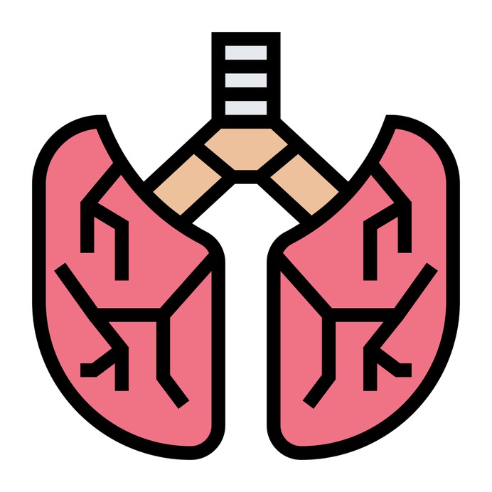 See more icon inspiration related to lung, breath, organ, healthcare and medical, anatomy, body parts, lungs, human body, body part and medical on Flaticon.