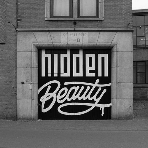 type novel #type #hidden #beauty