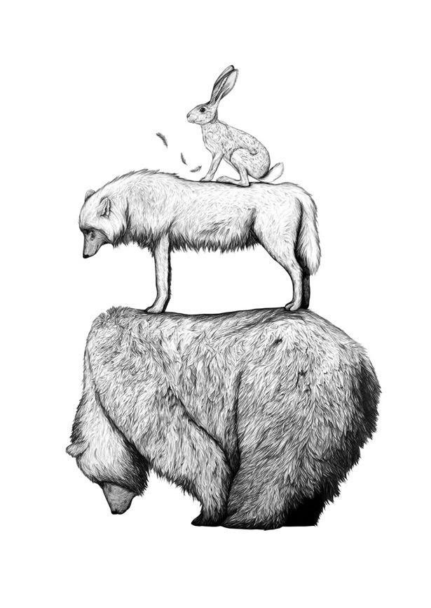 amydover.com hare wolf bear #lines #hare #the #illustration #wolf #bear
