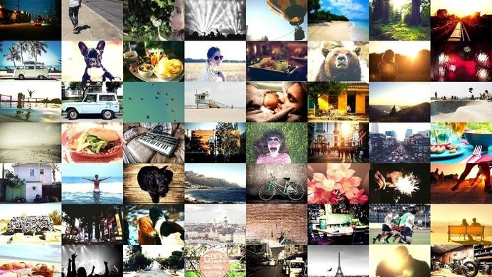 Beautiful designed photo mosaic for http://www.polarfox.com! #inspiration #photos #background #dog #photo #website #mosaic #startup #beach #new