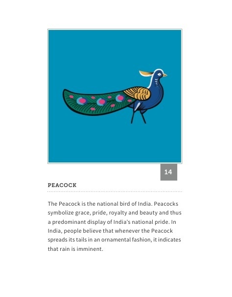 be3a13dd353ca3ea1692b64a0f33ecf5.jpg (474×605) #india #peacock