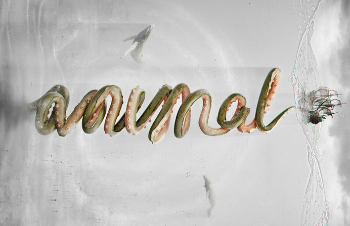 MatCloud #logotype #collaboration #illustration #species #type #animal #typography