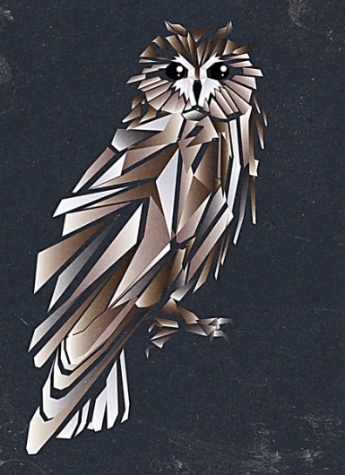cub ist on the Behance Network #rn #owl #sigga #cubism #iceland