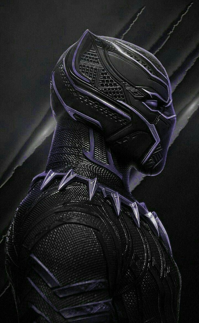 Black Panther Marvel Skin Superhero