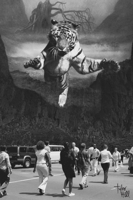 Do you Like this artwork? #illustration #tiger