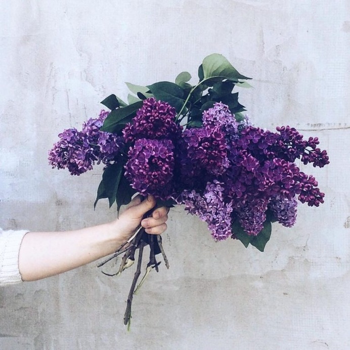 fragrant May 💜