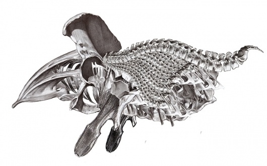 alienraumschiff_001-copy.jpg (JPEG Image, 689x430 pixels) #alien #illustration #anatomy