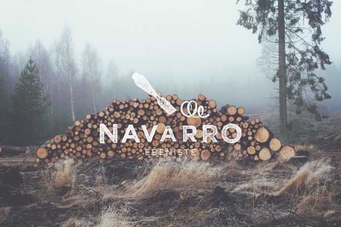 Navarro identity