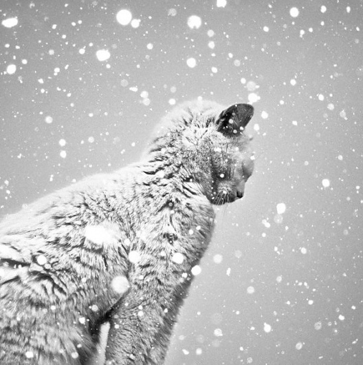 Black and White Photography by Benoit Courti » Creative Photography Blog