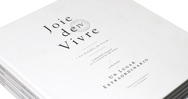 Joie de Vivre #raidho #branding #editorial #aesthetics #raidhomx
